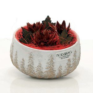 Clay pot with succulents!