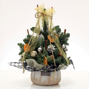 Arrangment in a clay pot with trees!